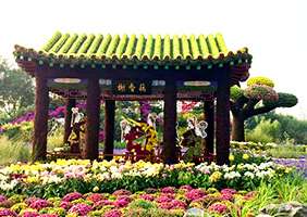 五色草立体花坛