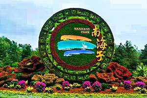 五色草立体花坛