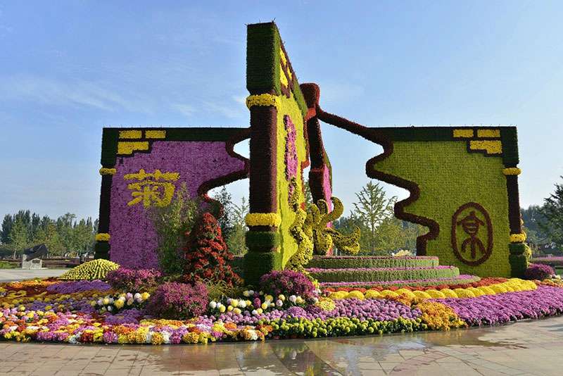 五色草立体花坛