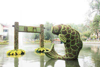 五色草造型--鲤鱼越龙门