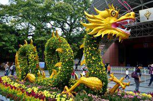 艺菊造型--卧龙