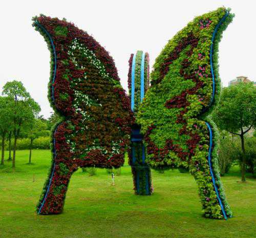 2017五色草造型设计