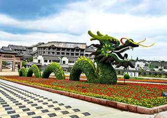 绿雕造型--蛟龙得水