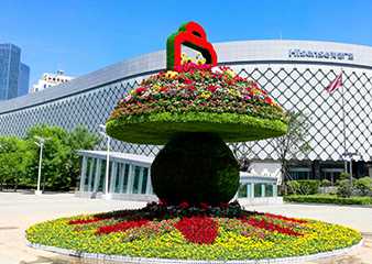 五色草绿雕 盛世花篮