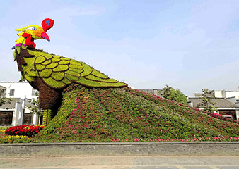 开封立体花坛之植物造型欣赏