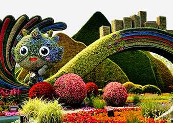 立体花坛之菊花造型